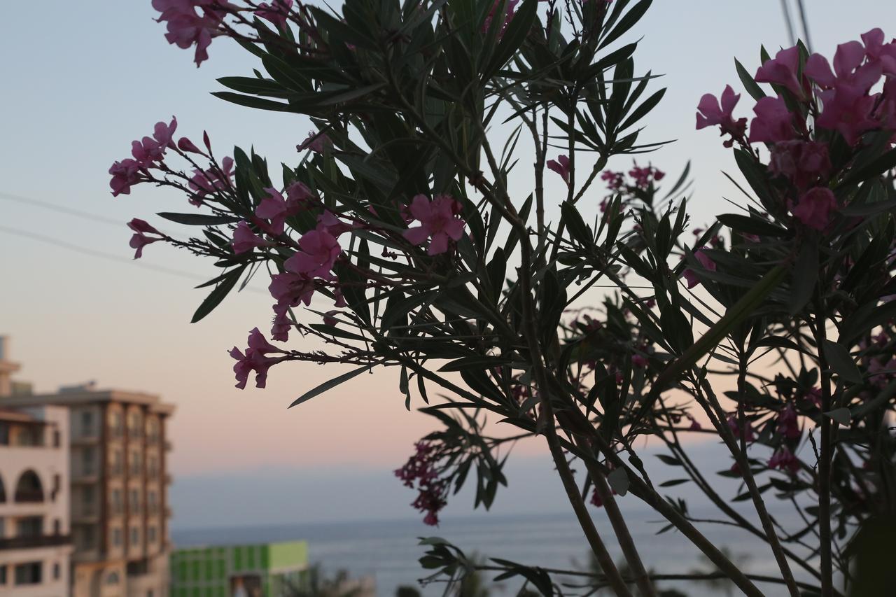 Kasgar Court Hotel Ayvaryara 外观 照片